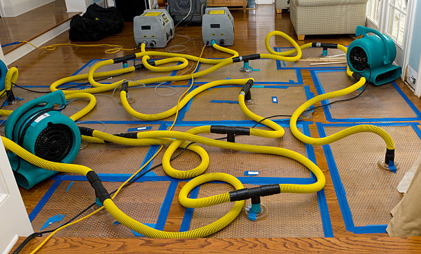 Professional Water Damage Restoration technician working in Guatay, CA